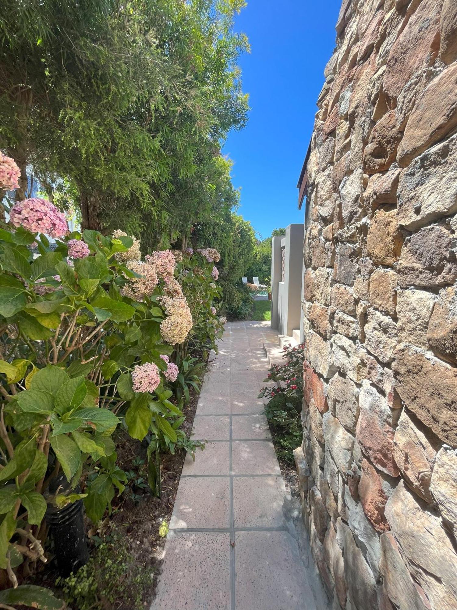 Pinoak - Constantia Guest house
